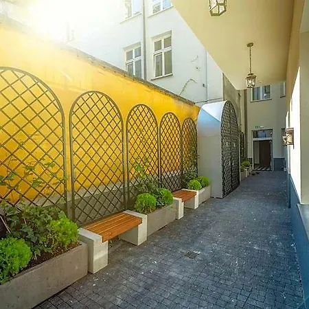 17 Szewska